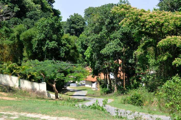 Yelagudgi Homestay, Chikmaglur 5
